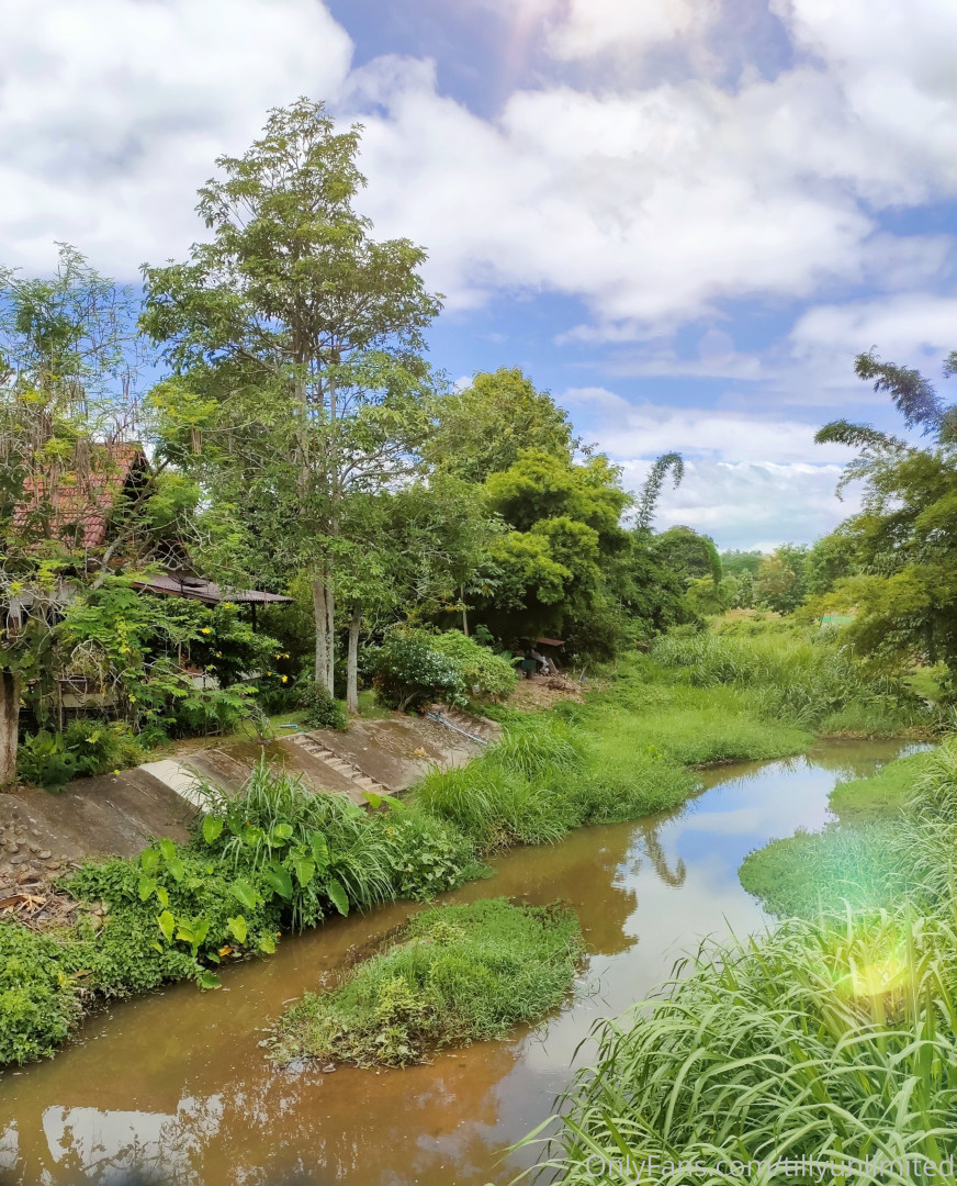 Photo by tillyknightvip published on May 16,2023 17:41:45 - BestThots