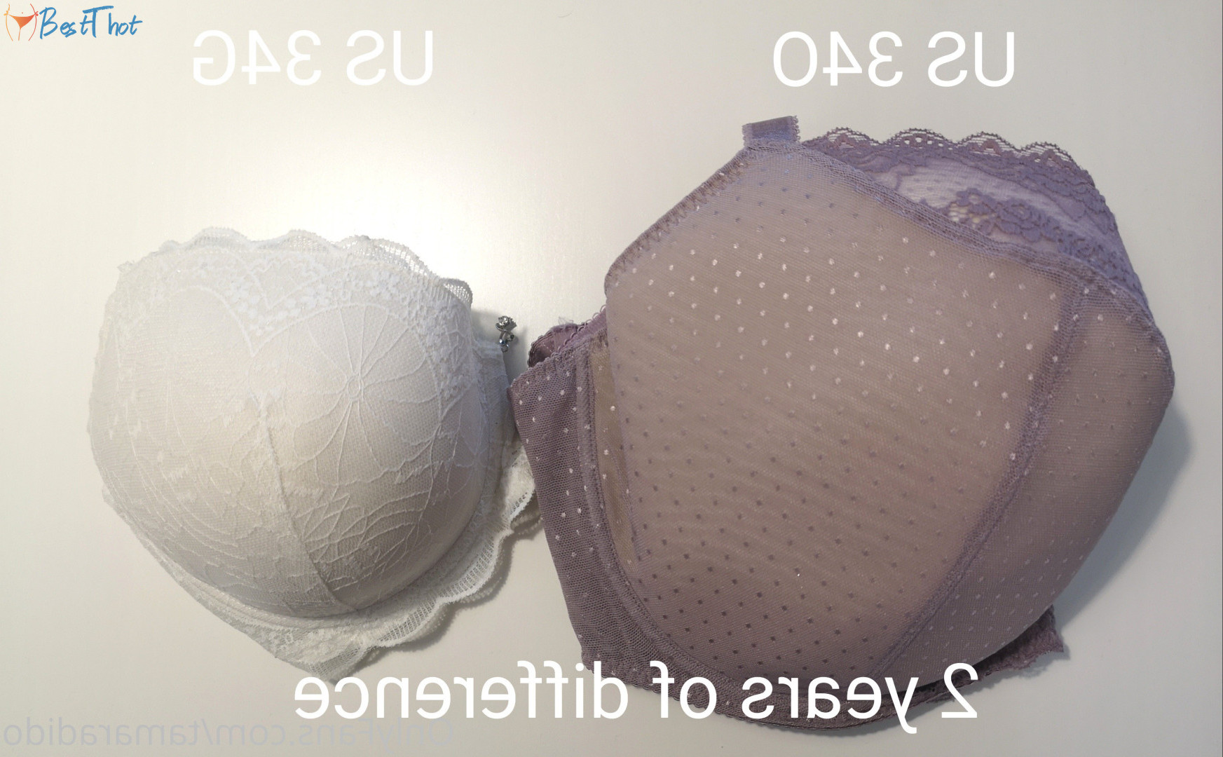 Photo by ninaphoenix published on December 15,2024 01:06:16 - BestThots