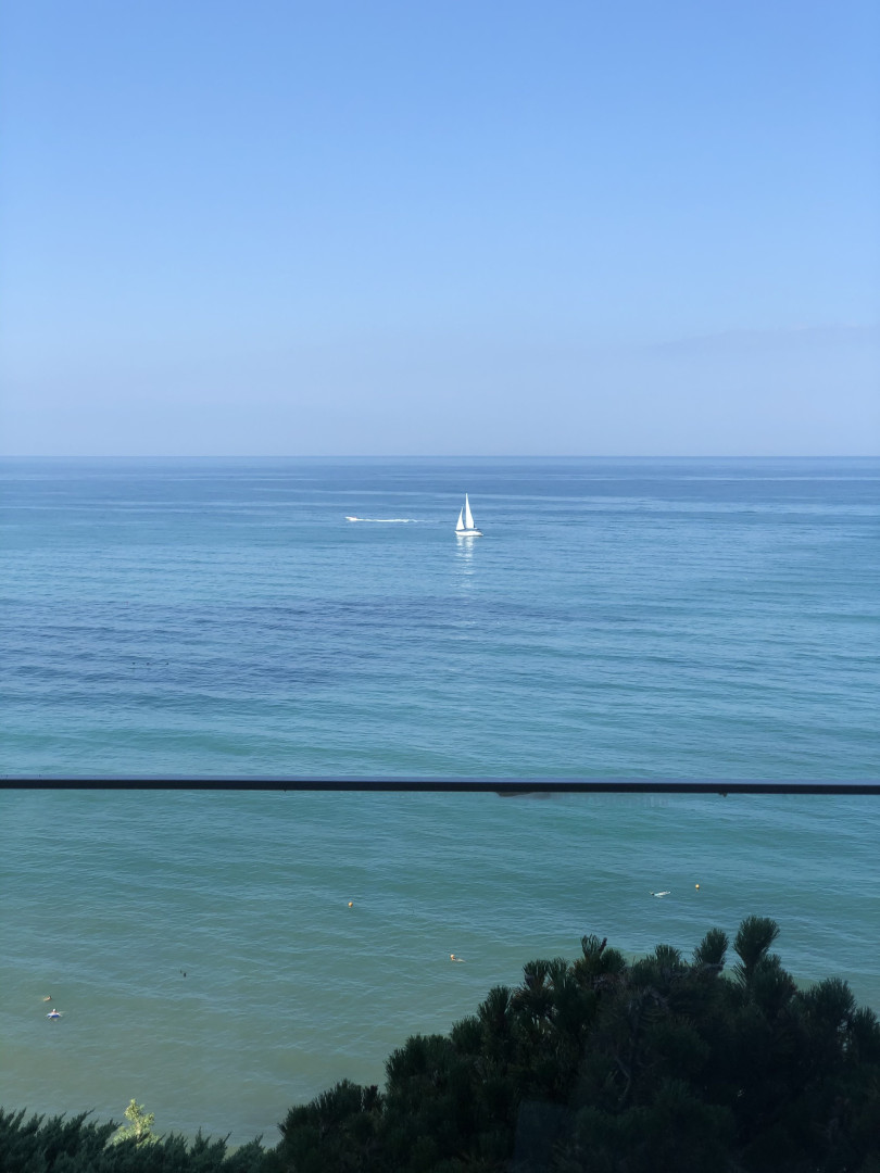 Photo by twotrunkx published on May 16,2023 13:35:41 - BestThots