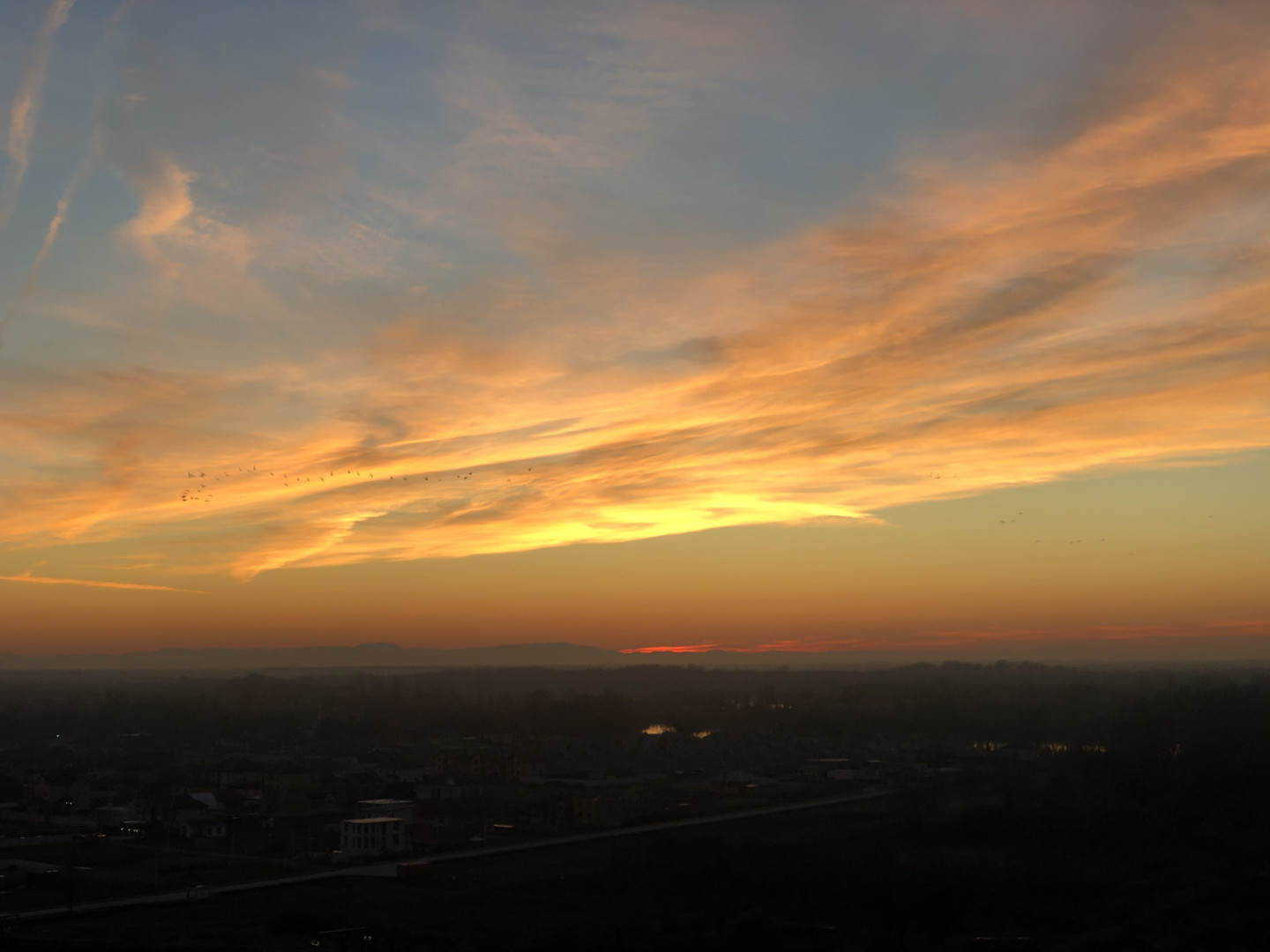 Photo by twotrunkx published on May 16,2023 13:36:27 - BestThots