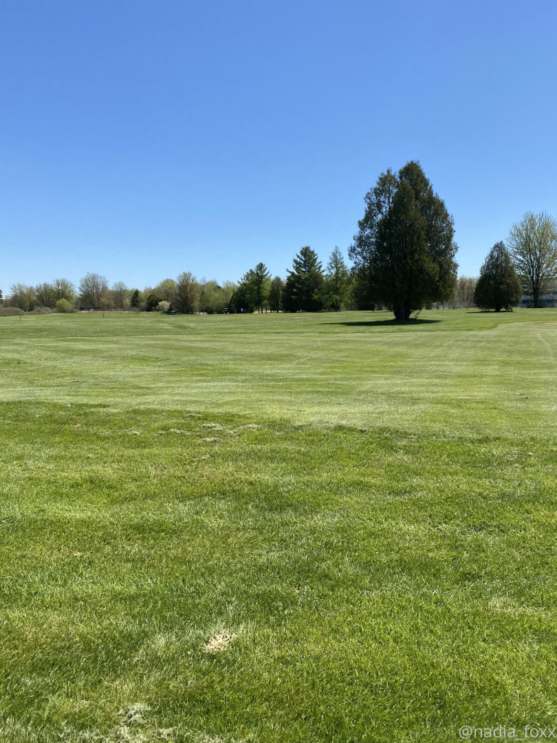 Photo by nadiafoxx69 published on August 5,2023 14:14:09 - BestThots