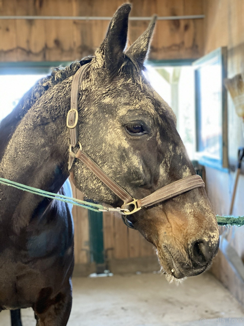 Photo by nadiafoxx69 published on August 5,2023 14:15:34 - BestThots