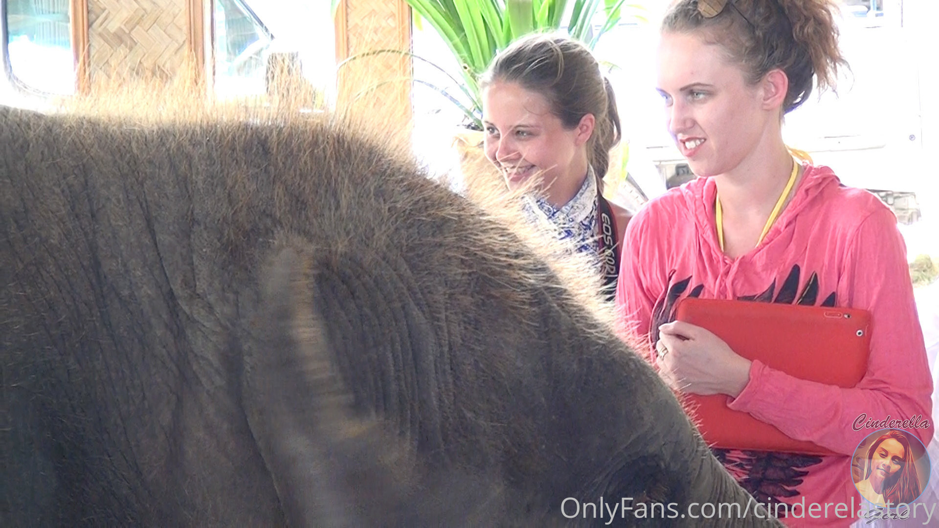 Photo by cinderelastory published on October 15,2023 20:01:04 - BestThots