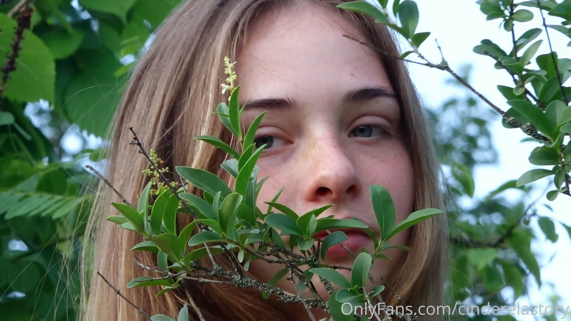 Photo by cinderelastory published on October 16,2023 06:47:33 - BestThots