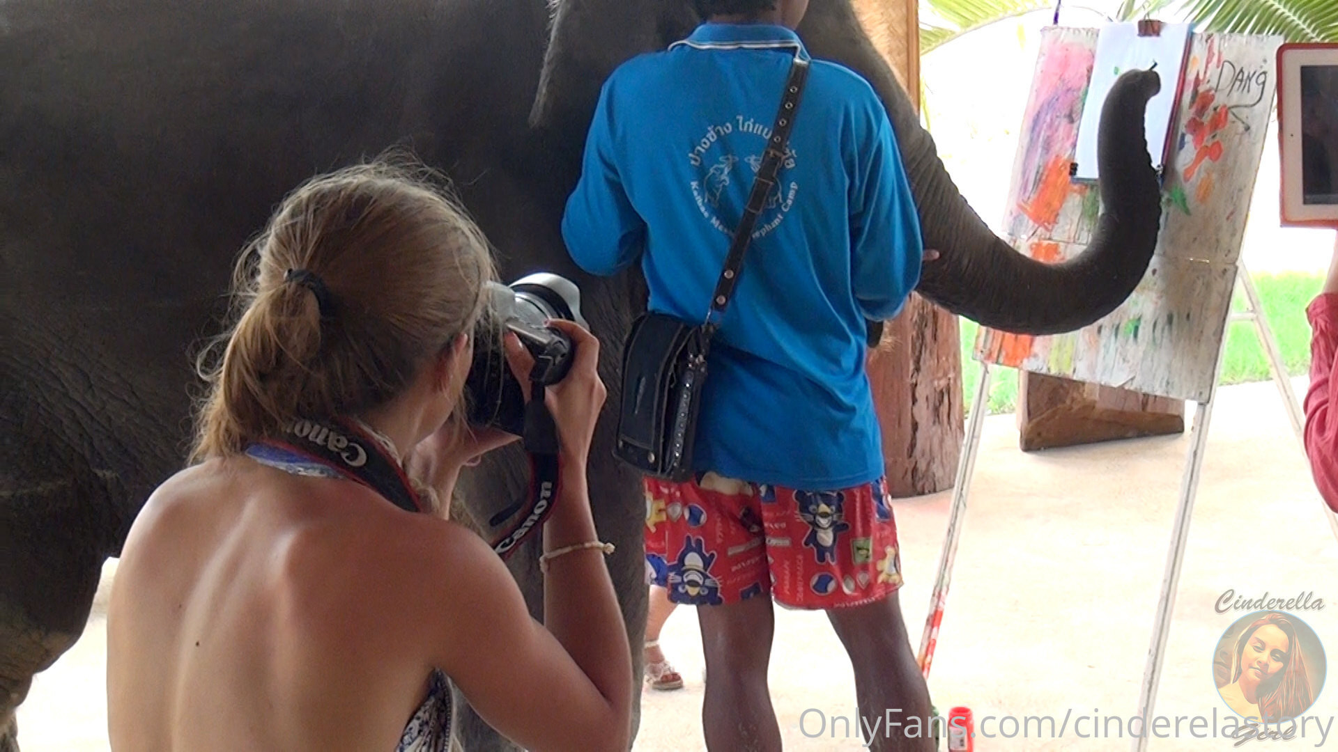 Photo by cinderelastory published on October 16,2023 07:15:59 - BestThots