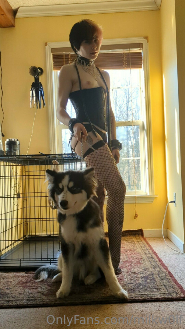 Photo by milkw0lf published on July 7,2023 11:30:18 - BestThots