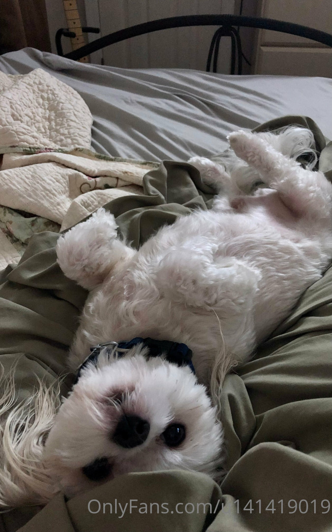 Photo by u141419019 published on May 16,2023 13:15:22 - BestThots