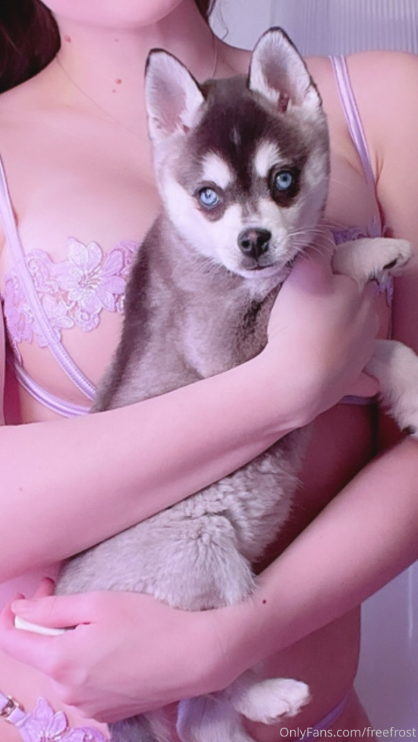 Photo by freefrost published on August 3,2023 00:56:13 - BestThots