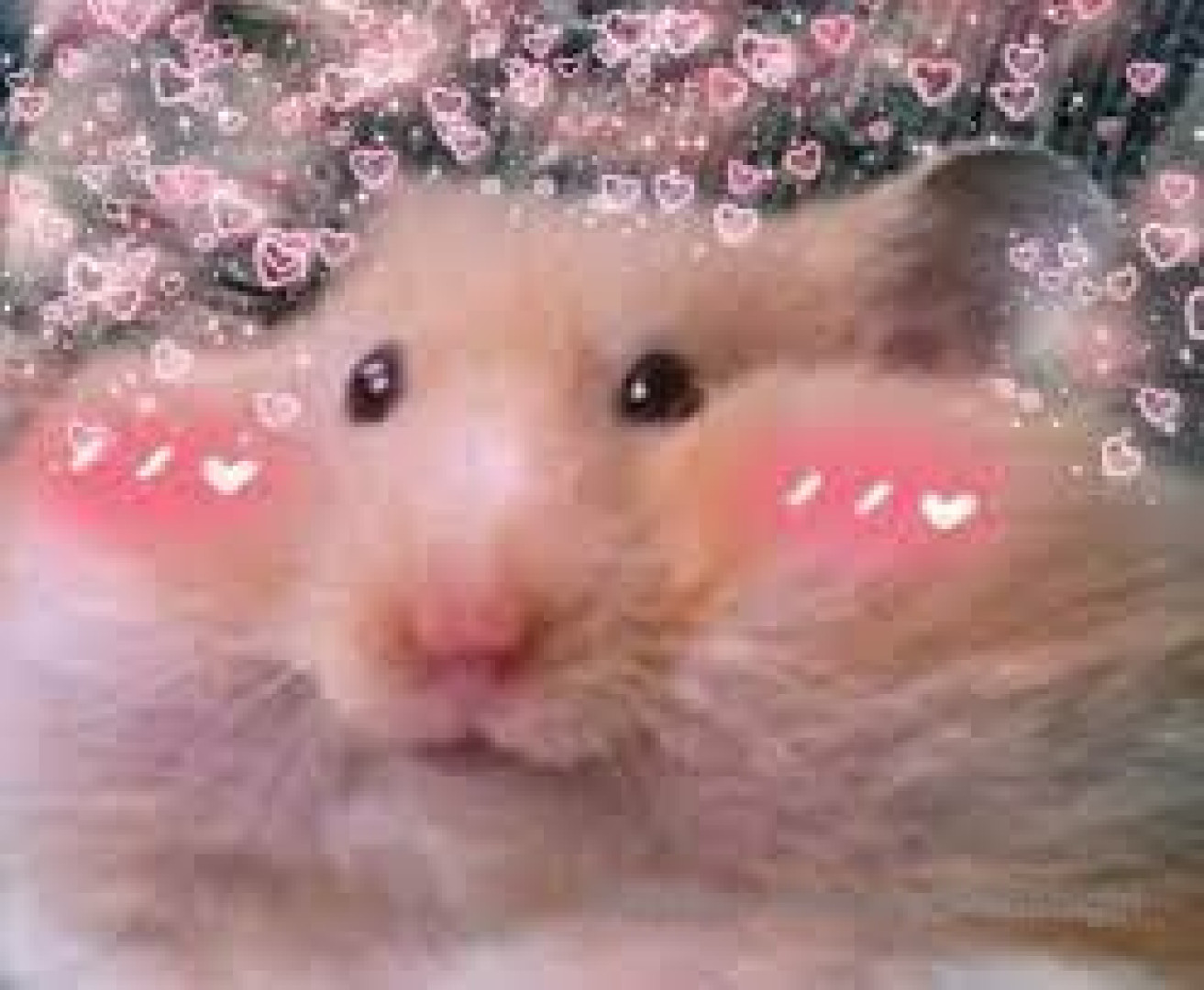 Photo by cookiebabigirl published on October 17,2023 01:45:01 - BestThots