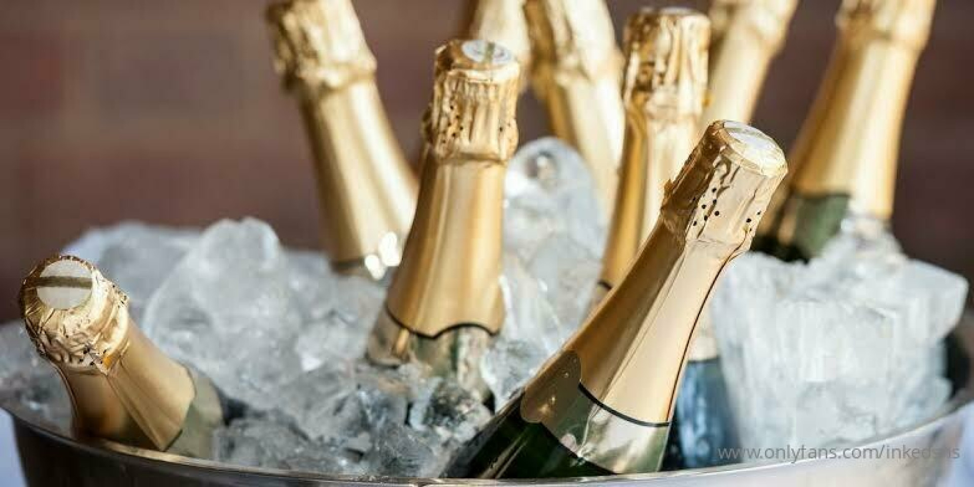 Photo by inkedsns published on July 12,2023 00:14:53 - BestThots