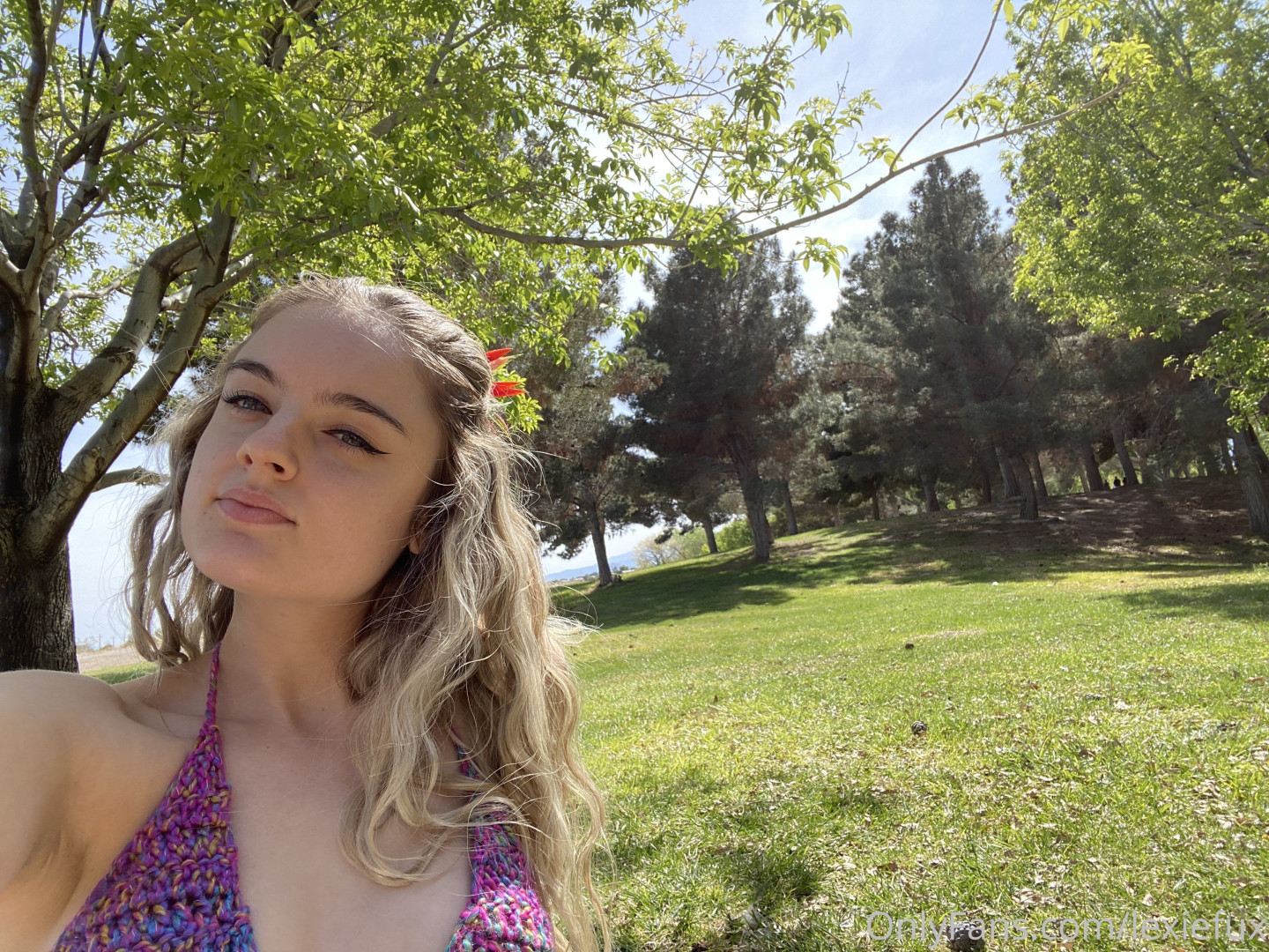 Photo by lexiefux published on June 7,2023 22:18:40 - BestThots