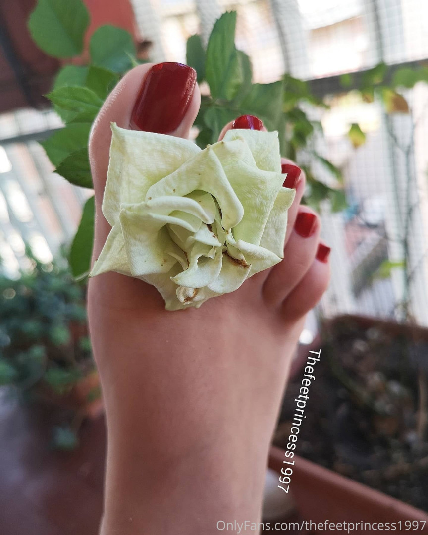 Photo by thefeetprincess1997 published on June 13,2023 00:43:08 - BestThots