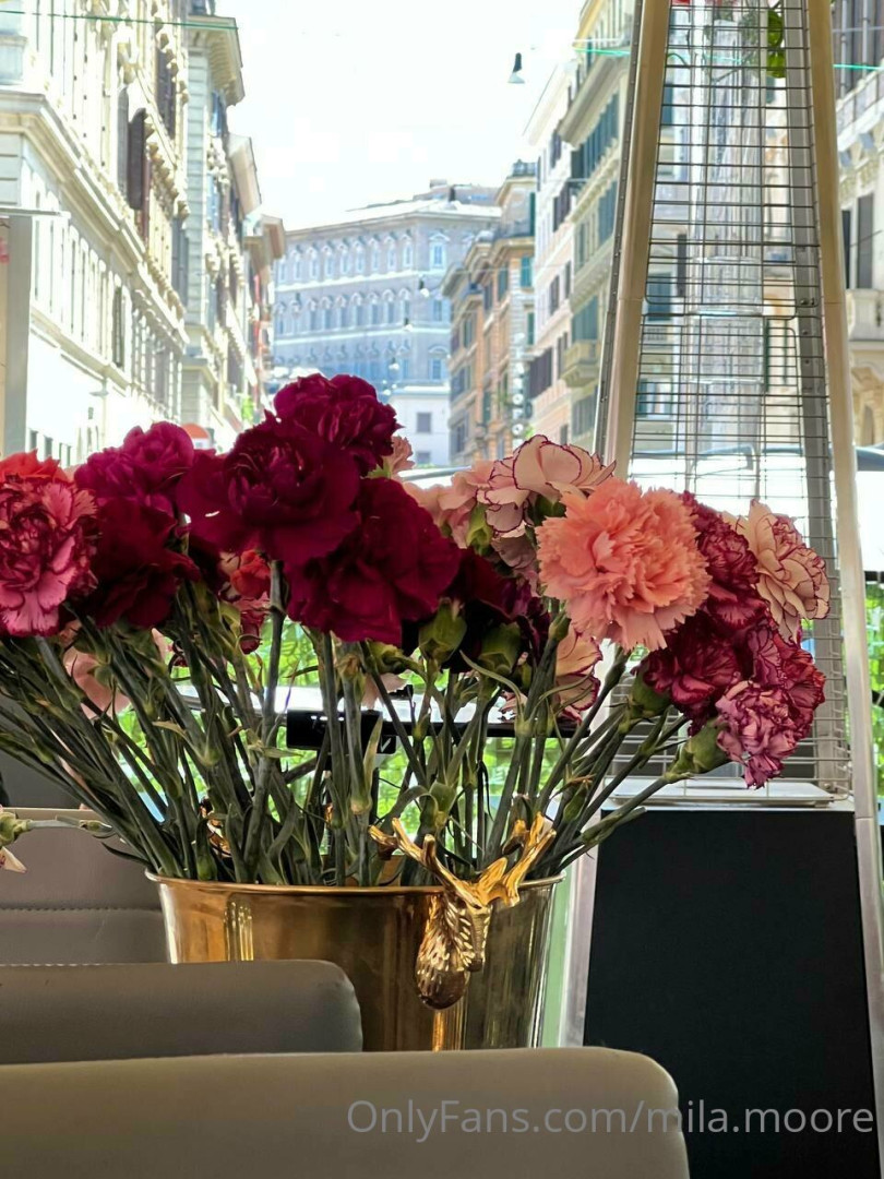 Photo by mila.moore published on July 7,2023 12:29:54 - BestThots