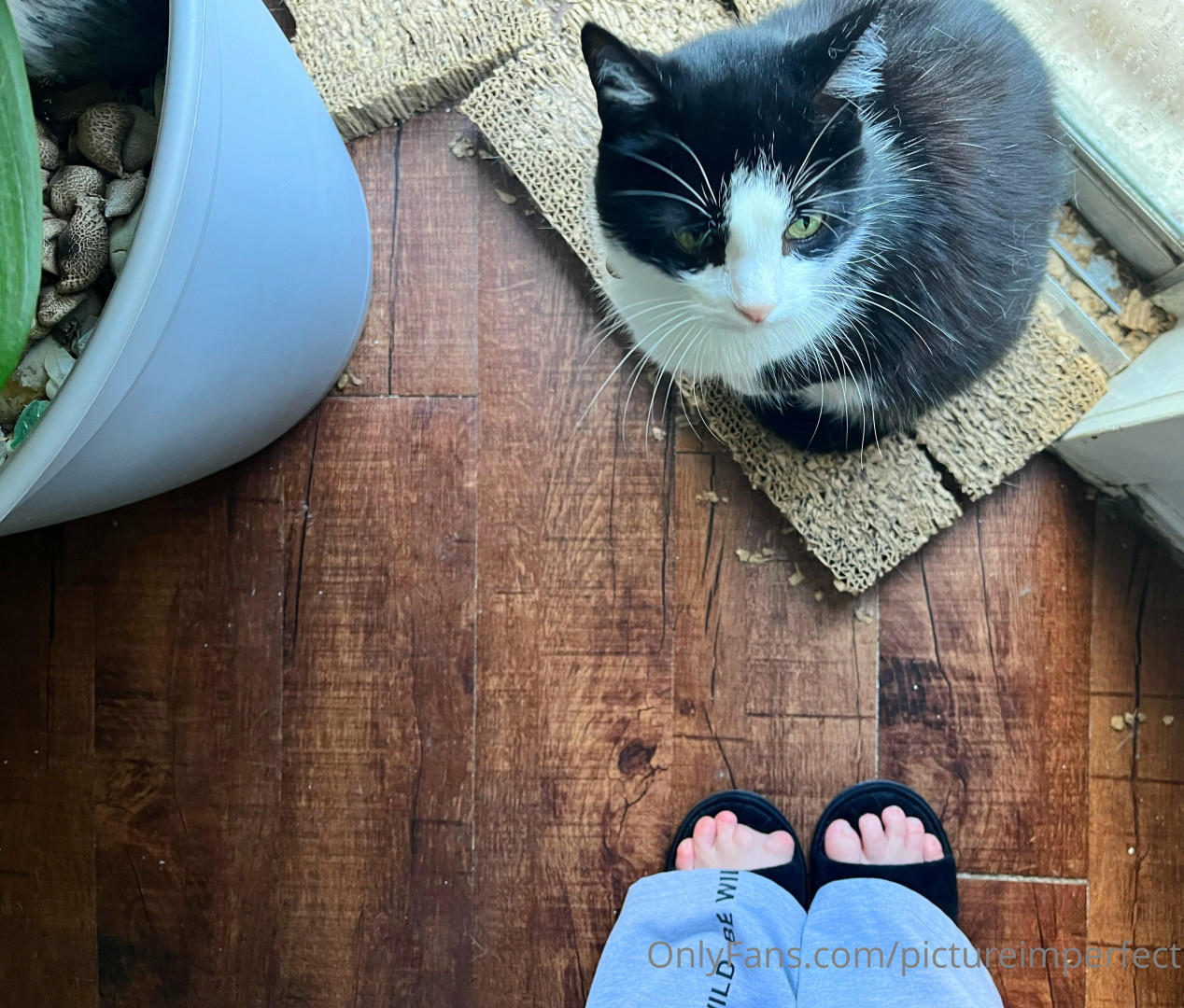 Photo by pictureimperfect published on May 19,2023 12:29:39 - BestThots