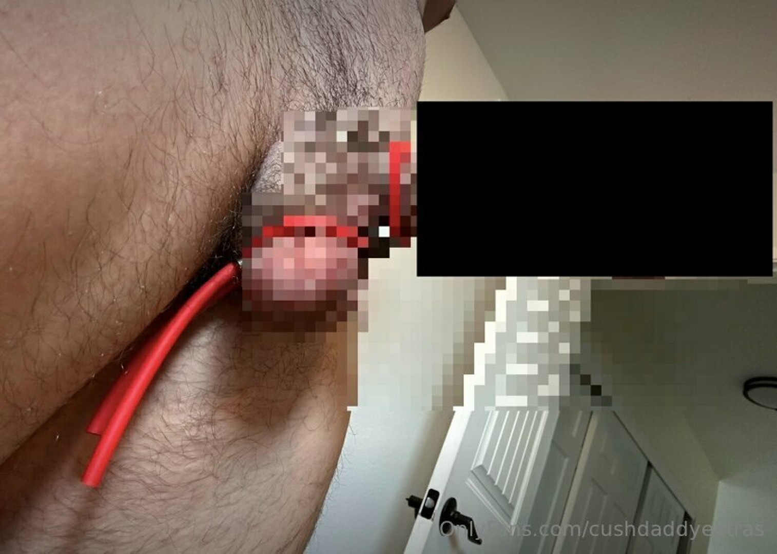 Photo by cushdaddyextras published on June 28,2023 12:27:15 - BestThots