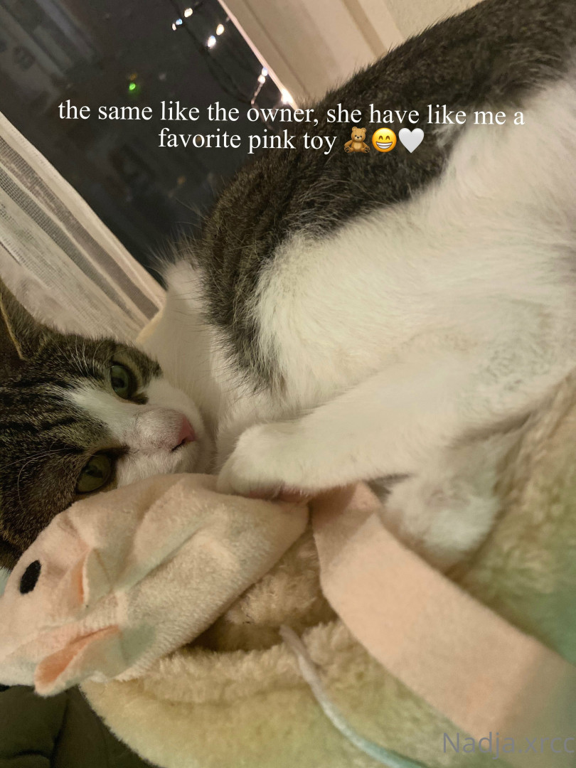 Photo by bunnynadja published on June 28,2023 18:31:01 - BestThots