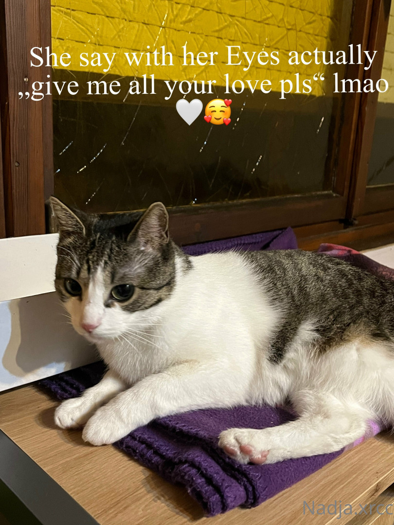 Photo by bunnynadja published on June 28,2023 18:32:16 - BestThots