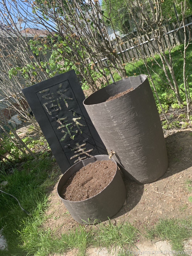 Photo by hollytwolf published on October 16,2023 04:08:39 - BestThots