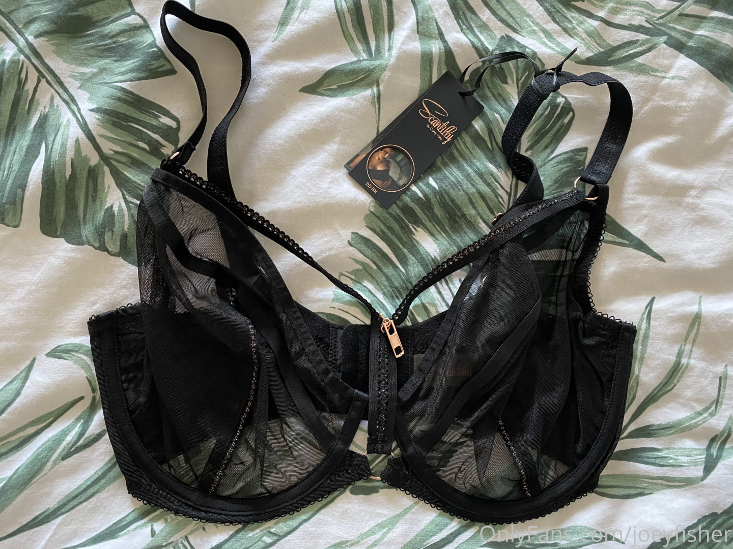 Photo by joeyfisher published on August 31,2023 04:08:04 - BestThots