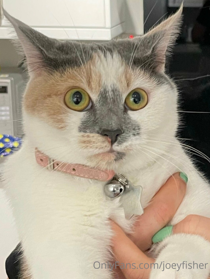 Photo by joeyfisher published on August 31,2023 04:24:02 - BestThots