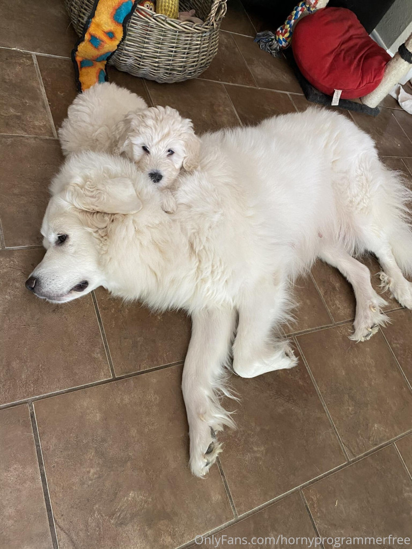 Photo by libyanbabygirl published on October 16,2023 11:00:39 - BestThots