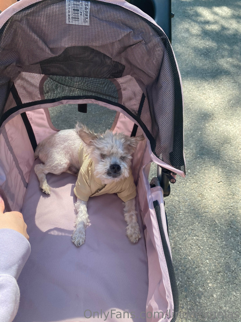 Photo by lindseypelas published on August 26,2023 06:23:37 - BestThots