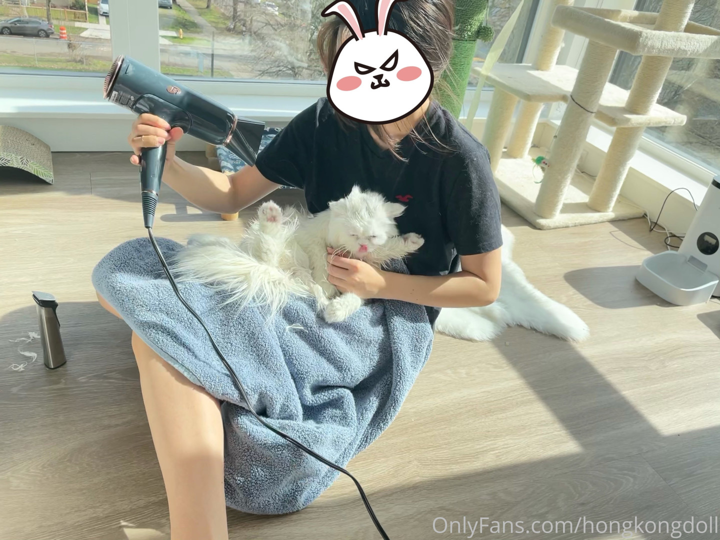 Photo by hongkongdoll published on August 30,2023 10:52:05 - BestThots