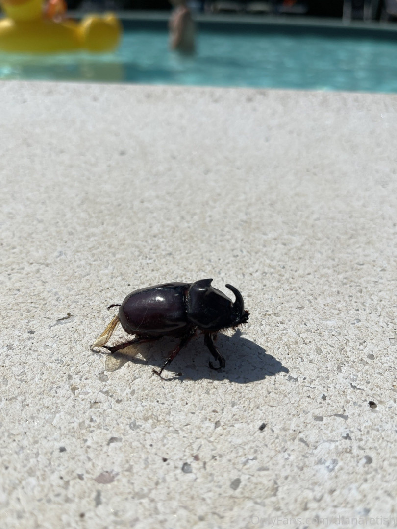 Photo by dianafetish published on January 14,2024 07:11:36 - BestThots