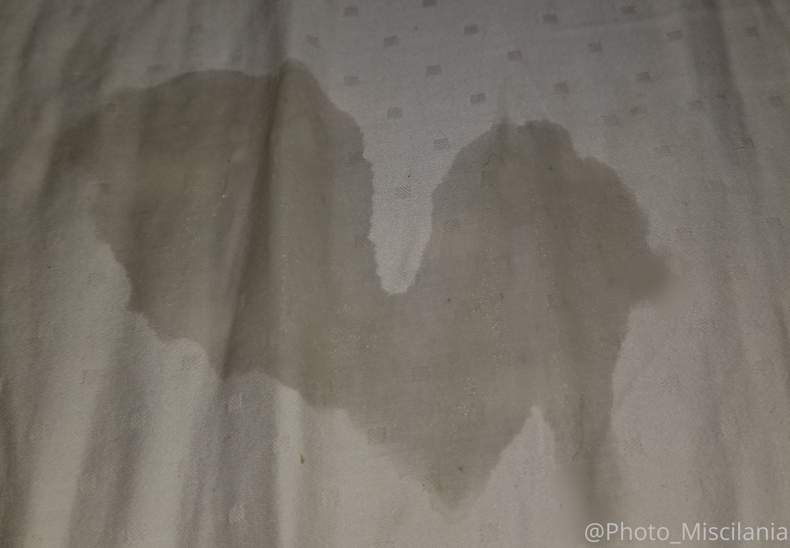 Photo by photo_miscilania published on June 6,2023 11:33:57 - BestThots