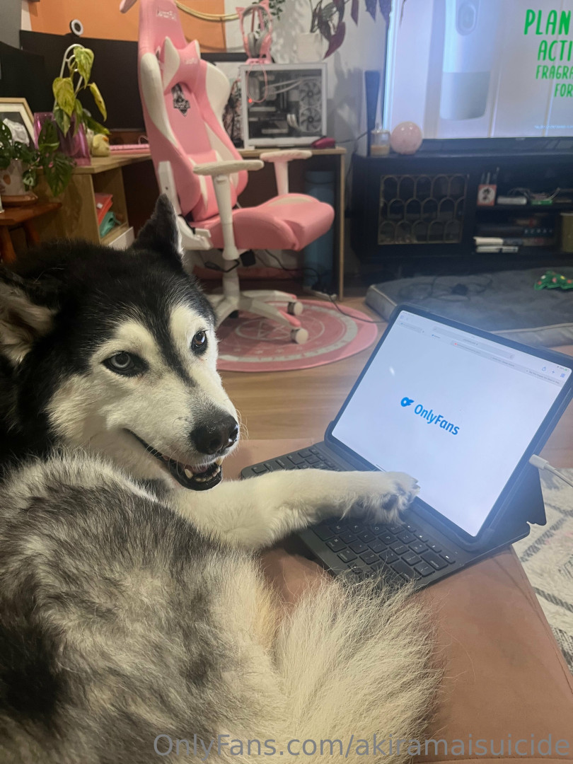 Photo by akiramaisuicide published on October 16,2023 06:31:32 - BestThots