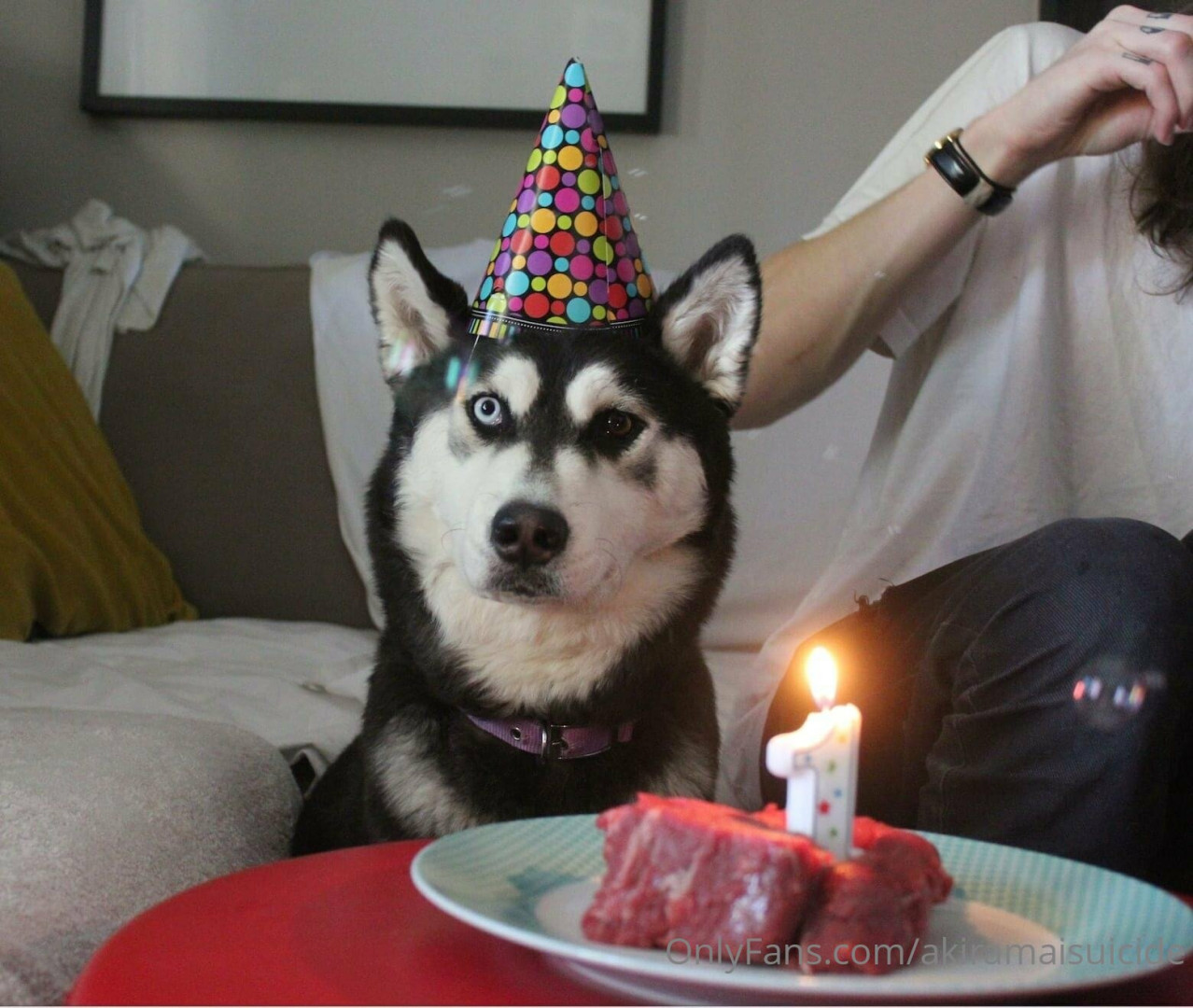 Photo by akiramaisuicide published on October 16,2023 06:49:36 - BestThots