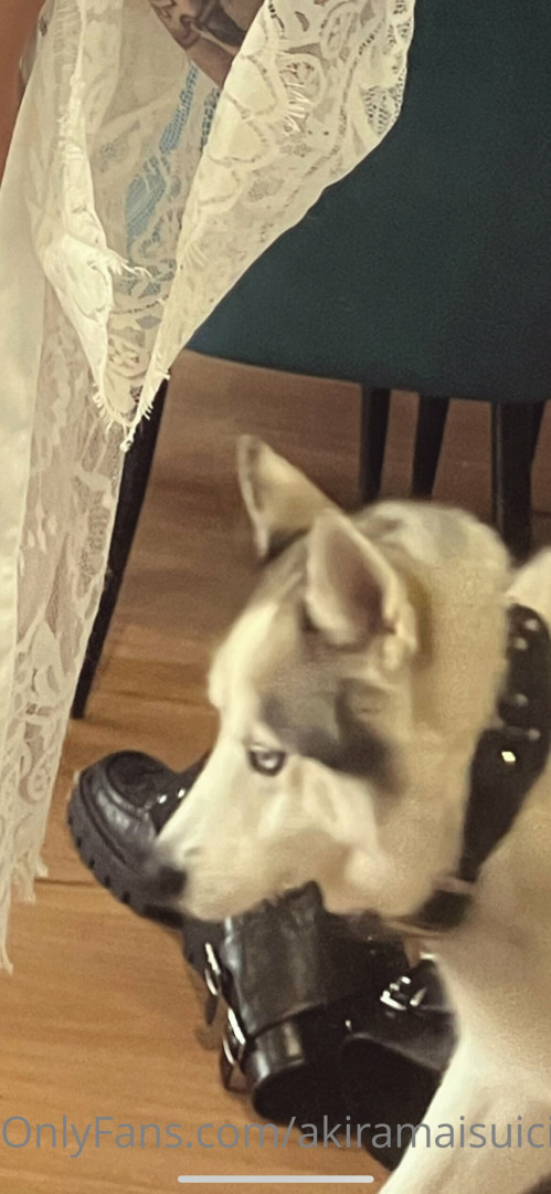 Photo by akiramaisuicide published on October 16,2023 06:55:04 - BestThots