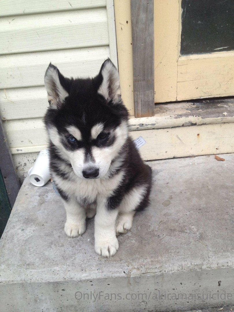 Photo by akiramaisuicide published on October 16,2023 07:03:54 - BestThots