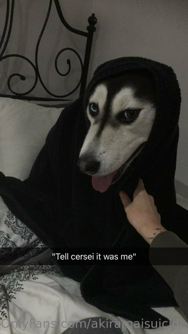 Photo by akiramaisuicide published on October 16,2023 08:47:55 - BestThots