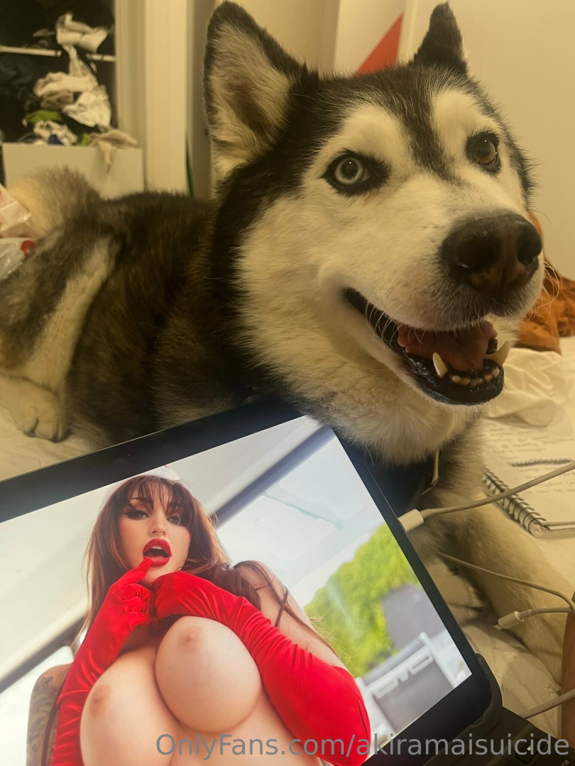 Photo by akiramaisuicide published on October 16,2023 09:09:23 - BestThots