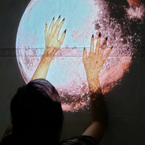 exoticwildflower #1909494