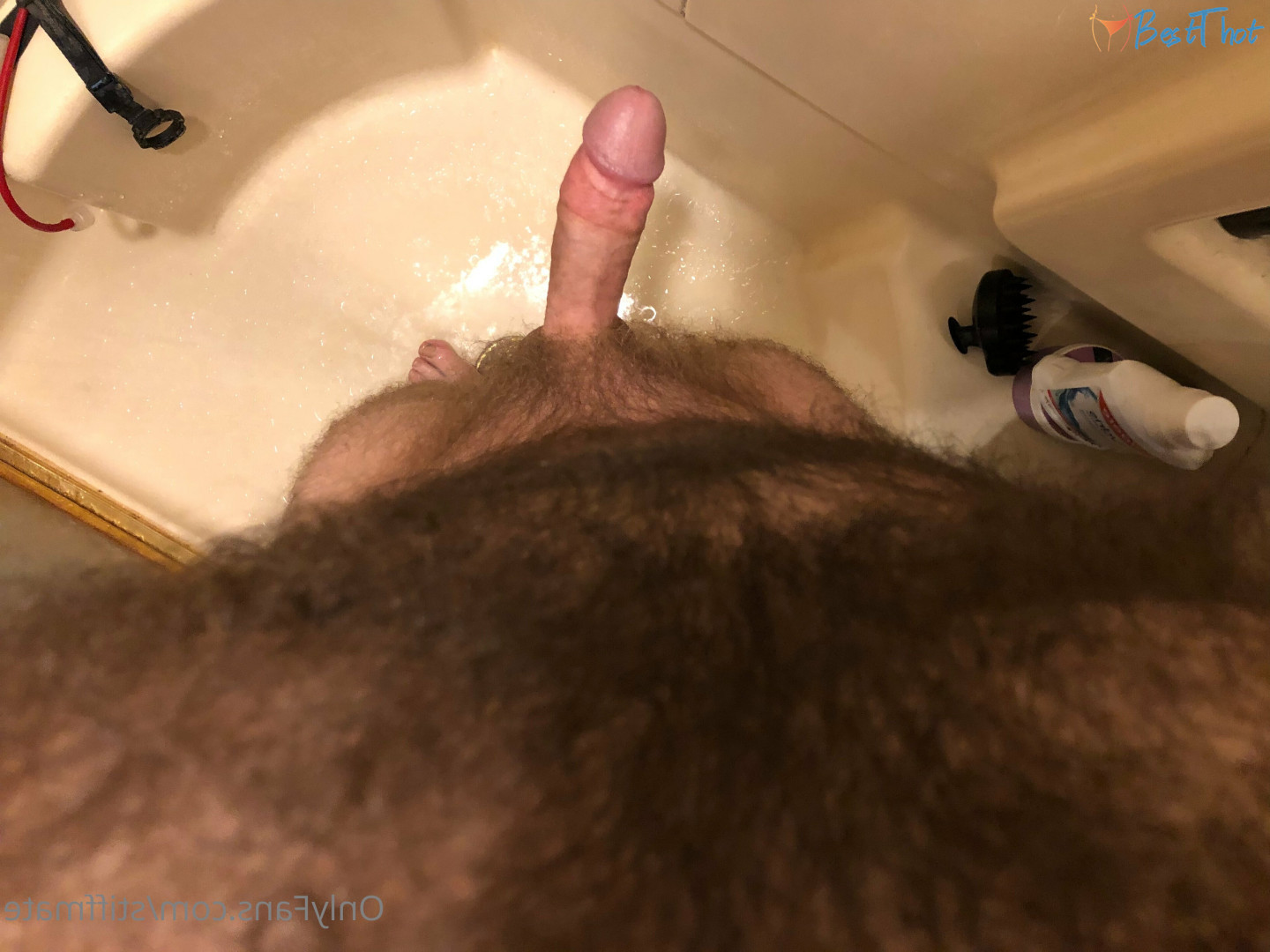 Photo by stiffmate published on December 17,2024 01:09:01 - BestThots