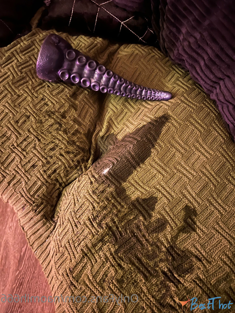 Photo by naomih666 published on December 12,2024 09:40:31 - BestThots