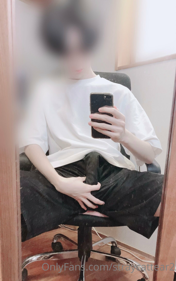 Photo by straycattear2 published on May 17,2023 14:11:35 - BestThots