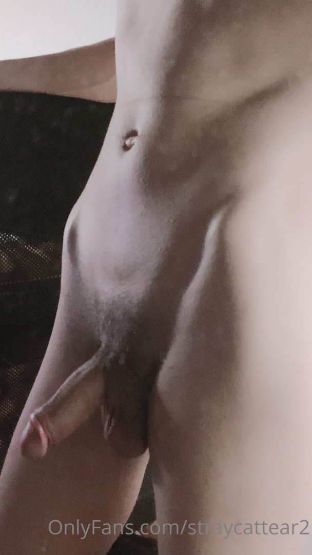 Photo by straycattear2 published on May 17,2023 14:12:03 - BestThots
