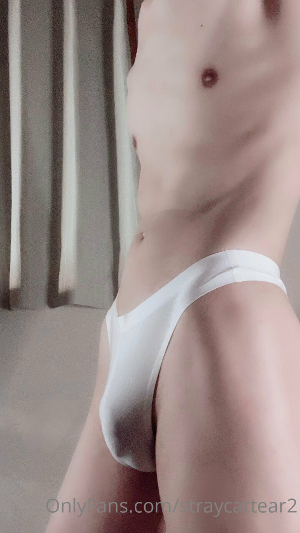 Photo by straycattear2 published on May 17,2023 14:12:06 - BestThots