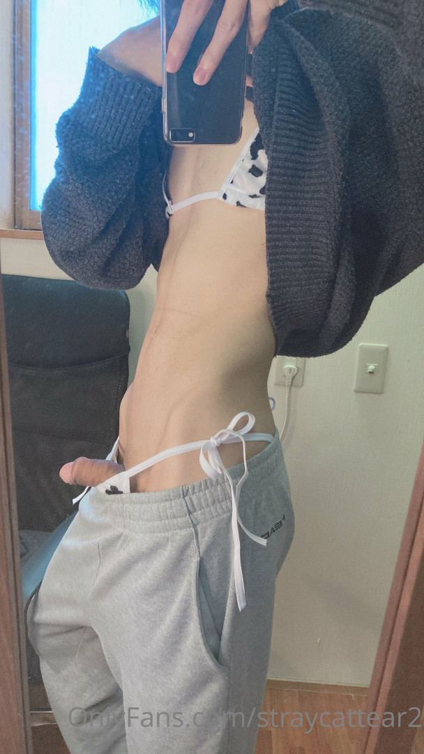 Photo by straycattear2 published on May 17,2023 14:12:09 - BestThots