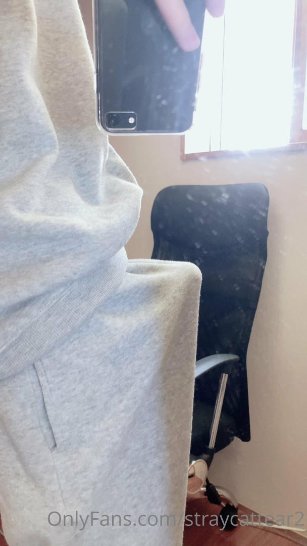 Photo by straycattear2 published on May 17,2023 14:12:13 - BestThots