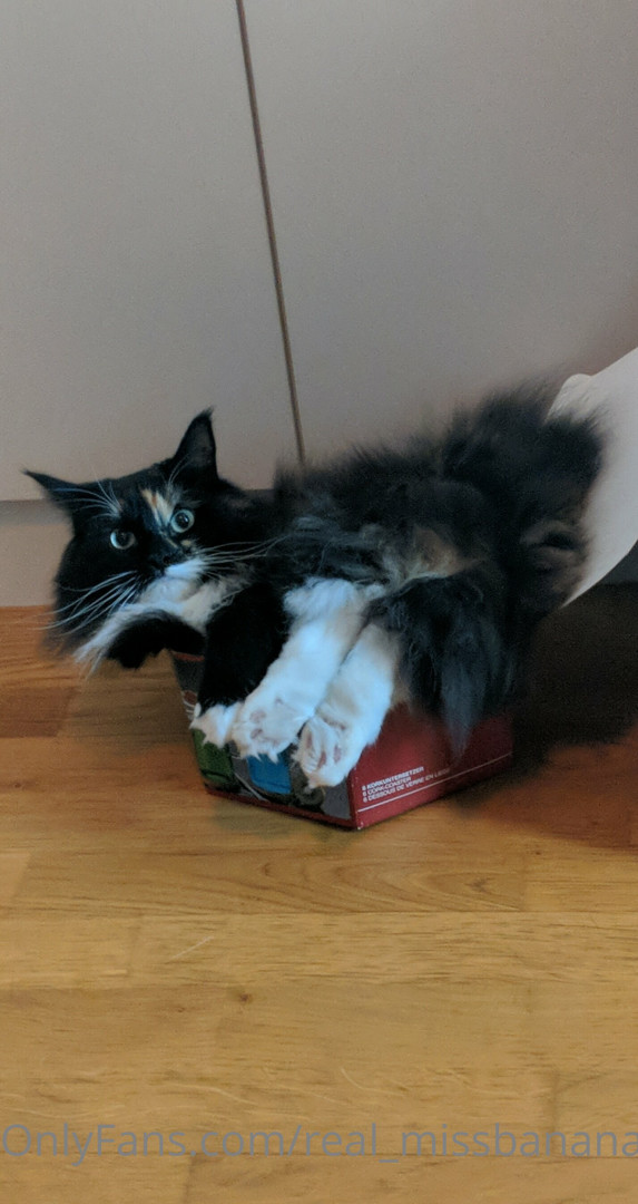 Photo by real_missbanana published on August 17,2023 06:35:54 - BestThots