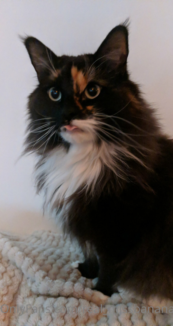 Photo by real_missbanana published on August 17,2023 06:36:03 - BestThots