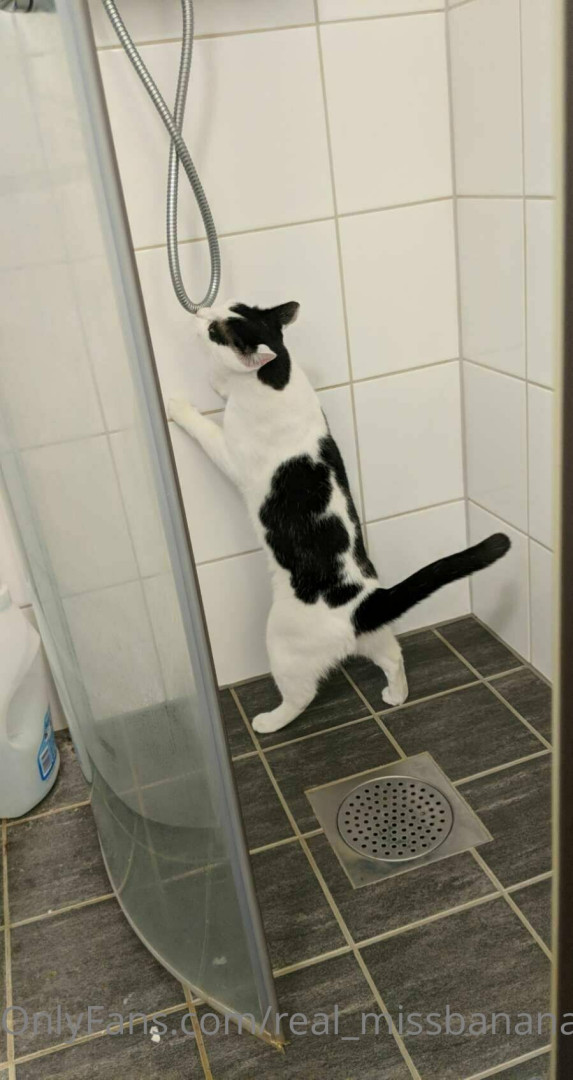 Photo by real_missbanana published on August 17,2023 06:36:06 - BestThots