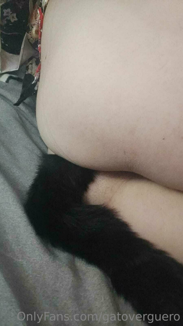 Photo by gatoverguero published on June 28,2023 00:05:45 - BestThots