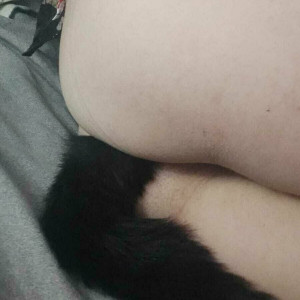 gatoverguero #2053901