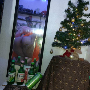 gatoverguero #2053906