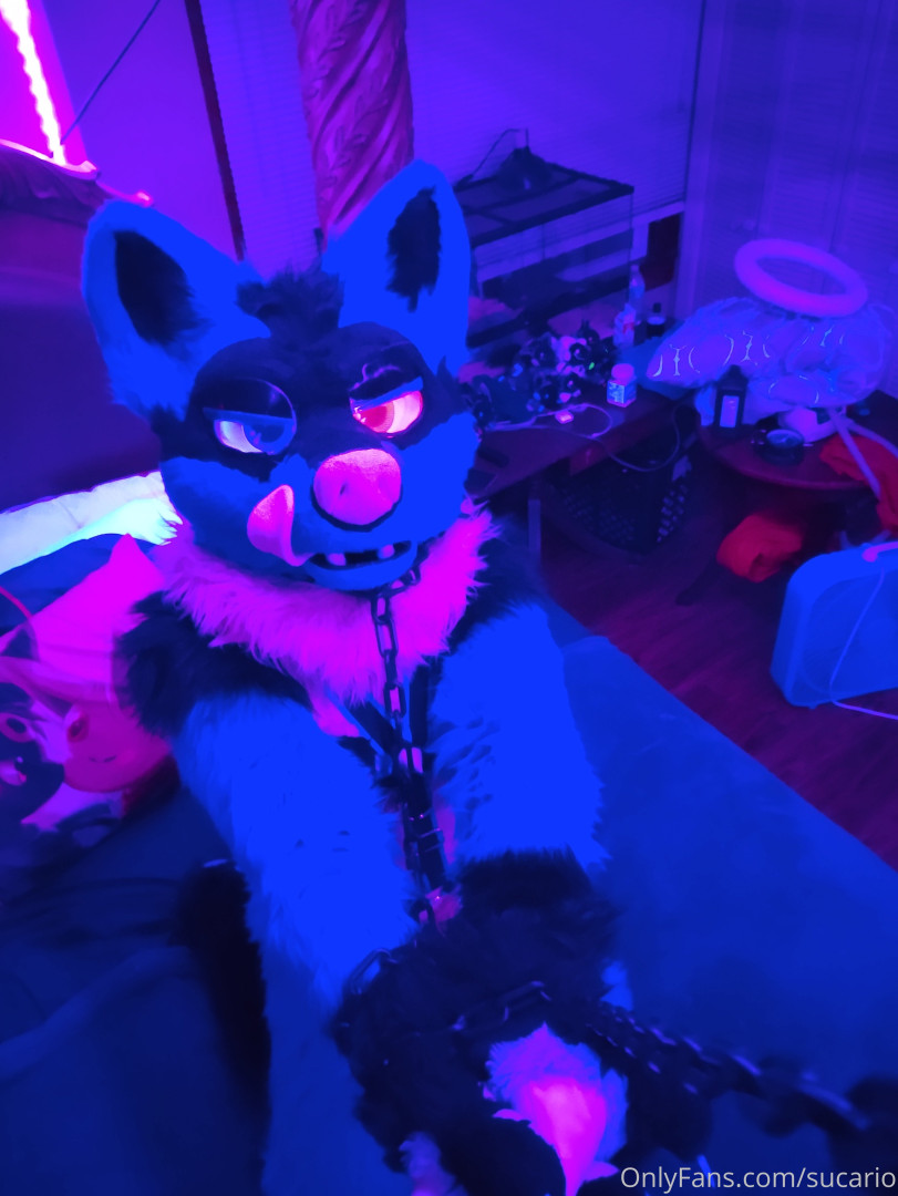 Photo by sucario published on July 3,2023 01:49:11 - BestThots